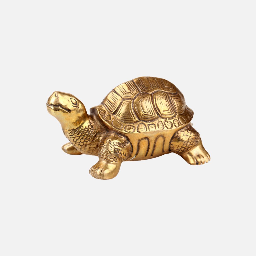 turtle ring attract money and happiness know these things before wearing  all details